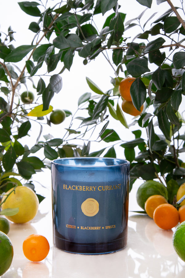 Blackberry Currant Jar | Smoke | Scented Candle | Citrus, Blackberry, Balsam